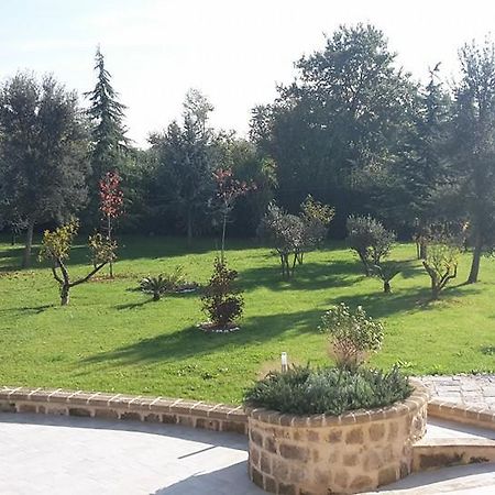 Conca della Campania Tenuta Terra Tefra 빌라 외부 사진
