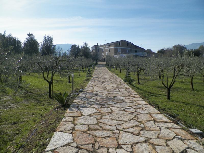 Conca della Campania Tenuta Terra Tefra 빌라 외부 사진